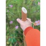 cleanwalk wandelstok