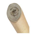 cleanwalk wandelstok