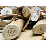 cleanwalk wandelstok