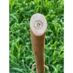 cleanwalk wandelstok