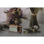 green balls mini-ecosysteem