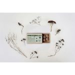 green balls mini-ecosysteem