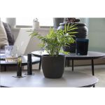 composteerbare bloempot van koffiedrap