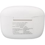 2.0 true wireless automatisch koppelende oortjes