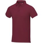 polo aqua - bordeaux