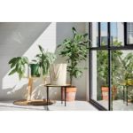 canvas boodschappentas rassa