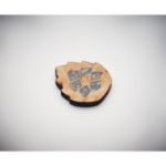 pijnboomzaden set. groeit 30 cm per jaar