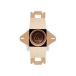 pijnboomzaden set. groeit 30 cm per jaar