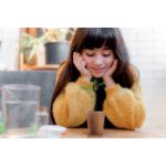 pijnboomzaden set. groeit 30 cm per jaar