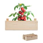 tomatenkweekset houten kratje