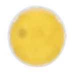 herbruikbare heatpack kison - geel