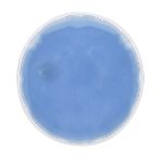 herbruikbare heatpack kison - blauw