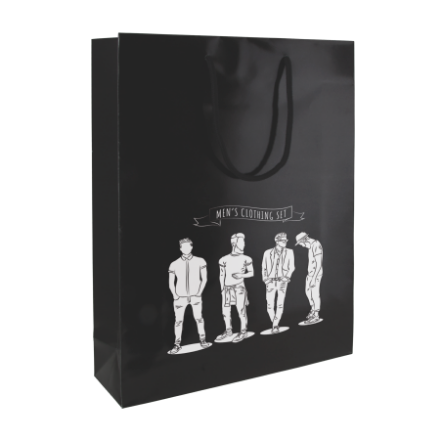 glans gelamineerde papieren tas 310x400x100 mm