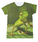 t-shirt, 100% katoen, 140 gr/m2, s-xxl, ade