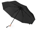 rpet paraplu brosiane