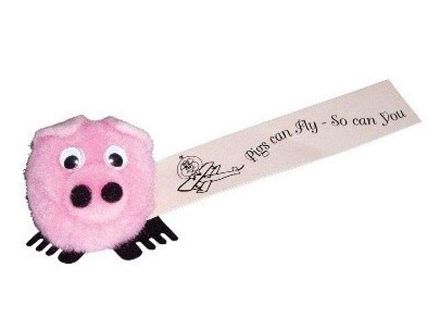 winnie varken custom made