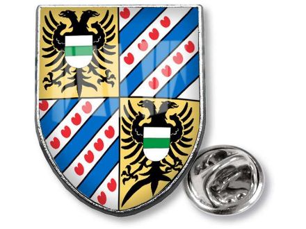 pin full colour afmetingen: 17 x 22 mm