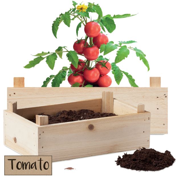 tomatenkweekset houten kratje