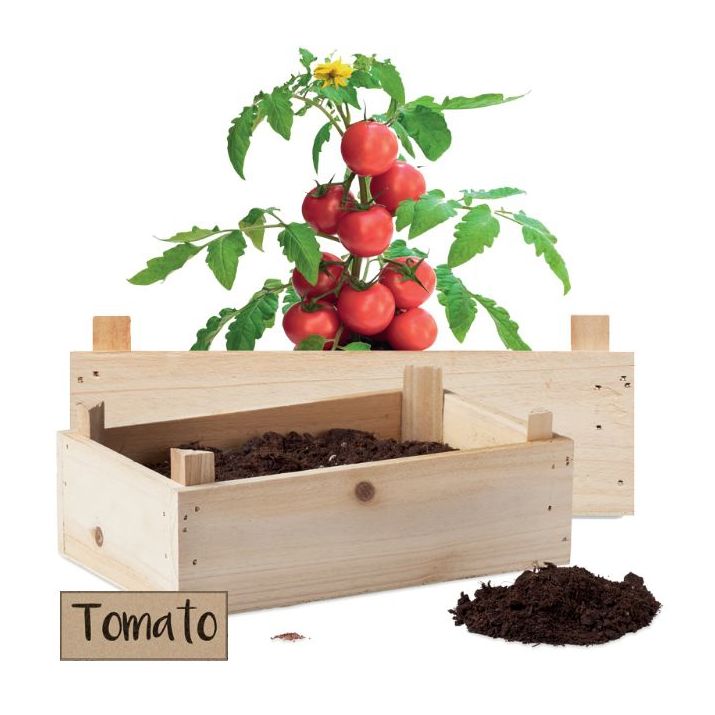 tomatenkweekset houten kratje