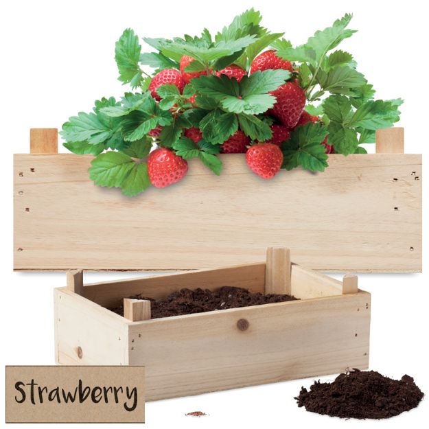 aardbeienpakket in houten krat