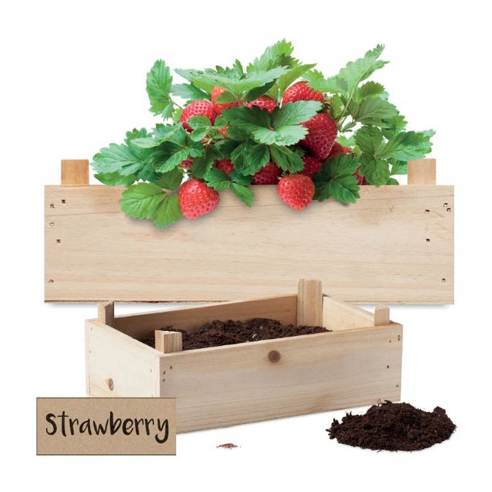 aardbeienpakket in houten krat
