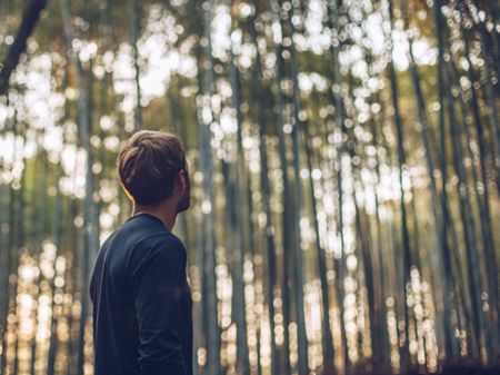 Afbeelding voor categorie volledig natuurlijke materialen