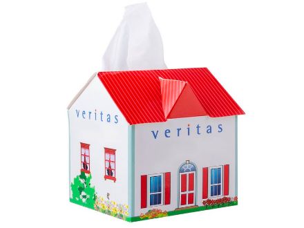 tissue box huis