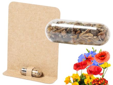 bloem zaad capsule biyok