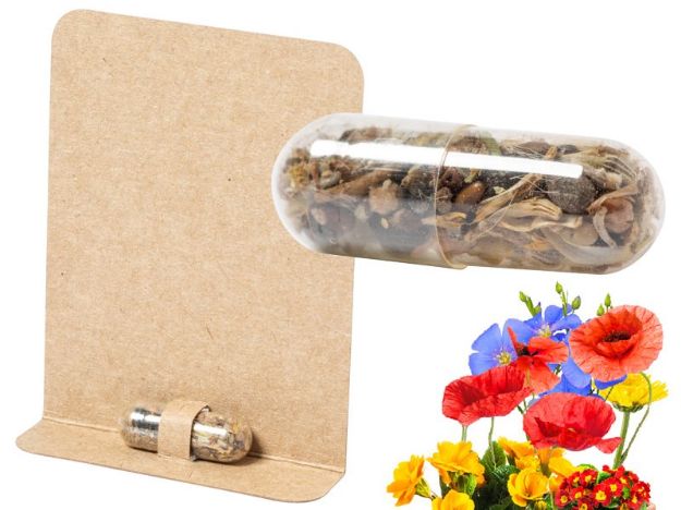 bloem zaad capsule biyok