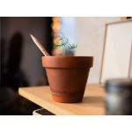 sprout gescherpt potlood met zaadjes