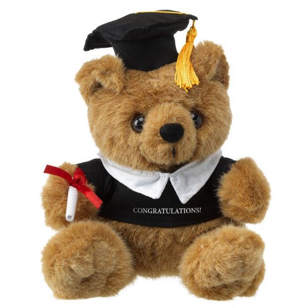 beer met toga, baret en diploma.