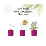 festivalbandje gemaakt van plantbaar zaadpapier