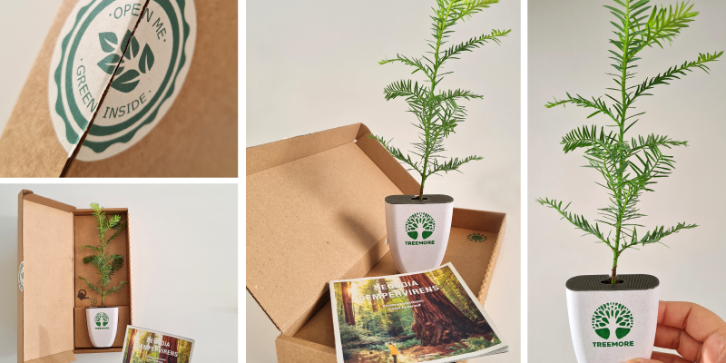 Green gifts that give back!