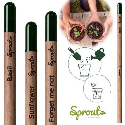 sprout ongescherpt potlood met zaadjes