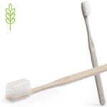 tarwestro tandenborstel cleidole