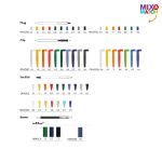 bic® clic stic softfeel balpen blauwe inkt