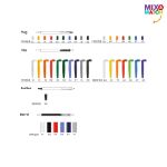 bic® clic stic stylus balpen blauwschrijvend