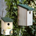 birdhouse vogelhuisje