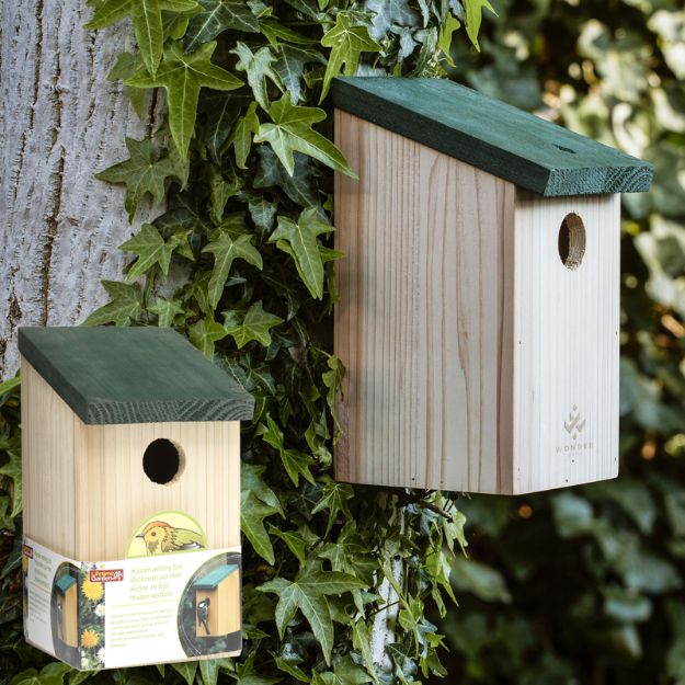 birdhouse vogelhuisje