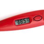 digiitale thermometer