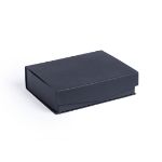 rechthoekige glazen trofee.