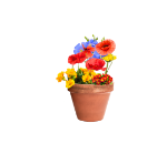 wilde bloemen zaden mussox