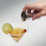 roestvrij stalen barmaatje