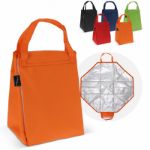opvouwbare koeltas en picknickmat