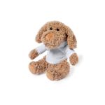 teddybeer met sweatshirt chamox