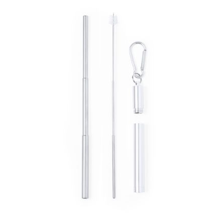 herbruikbaar en uitschuifbaar rvs rietje