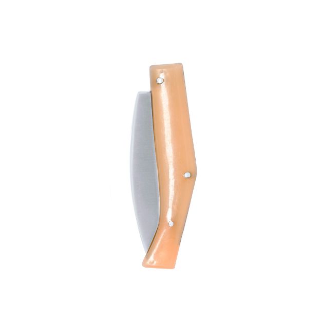 zakmes rvs met veiligheidsslot mulsen