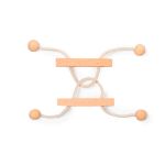 behendigheidsspel griffon