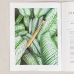 stylus pen bamboe clixo