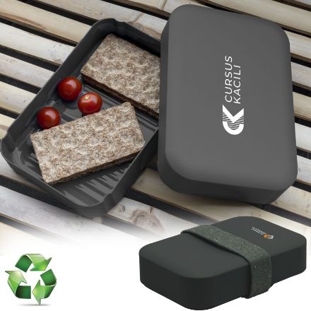 recycled pp lunch box pat